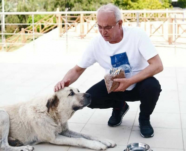 Yusuf Kanlı'dan sokak hayvanları çağrısı
